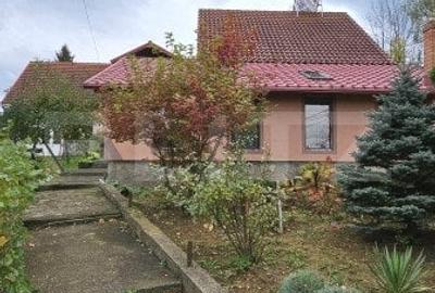 Casa deosebita, 3000 mp teren, 6 camere zona linistita - Barcani - 2