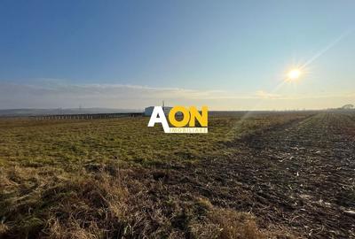 Teren de vanzare in zona Soseaua de Centura, 2.5 HA - 2
