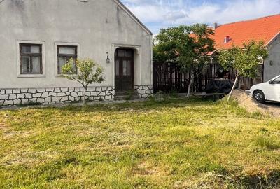 Casă individuală cu 5 camere cu Teren 1079 Mp în Foeni - 1