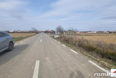 Teren de 2700 mp, în Păulești - 3