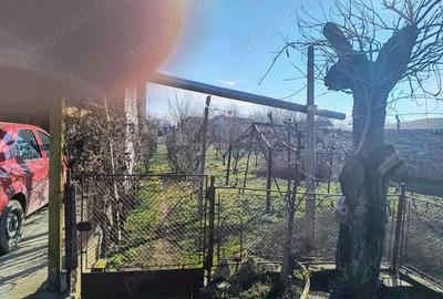 Casă cu 3 camere în Periam - 4