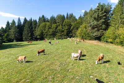 Investitie premium in turism-teren 6800mp langa lacuri Vulcan Brasov - 18