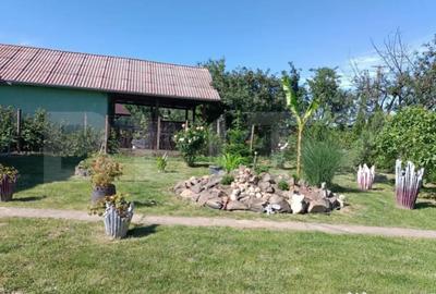 Teren de 1000 mp, în Careiului - 3