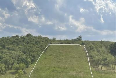 Spațiu comercial, în Cheriu - 1