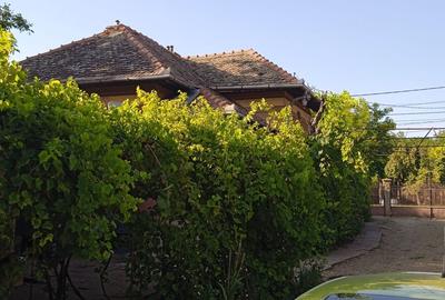 Casa comuna Giubega 45km craiova - 3