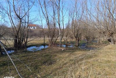 Spațiu comercial, în Sohodol - 15