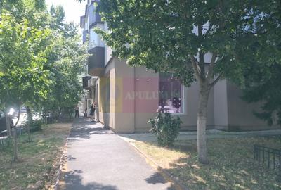 CORNETU (IF) - SPATIU DE VANZARE 124 MP - 20