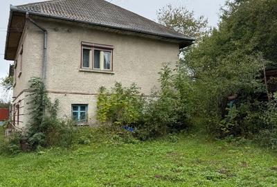 Casă cu 4 camere cu Teren 2300 Mp în Dângău Mare - 5