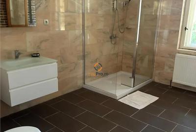 Casă cu 6 camere cu Teren 5000 Mp în Central - 14