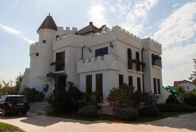 Casă cu 7 camere cu Teren 3200 Mp în Cernica - 1