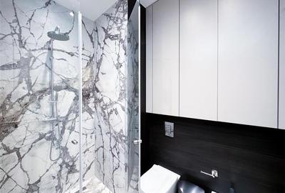 Apartament de inchiriat 4 camere Kiseleff - 16