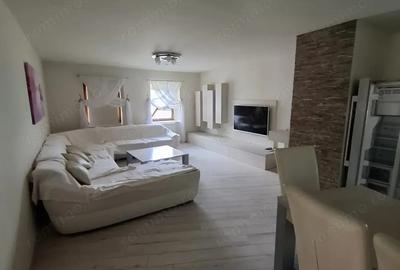 Sanandrei Central Casa 4 Camere - 2