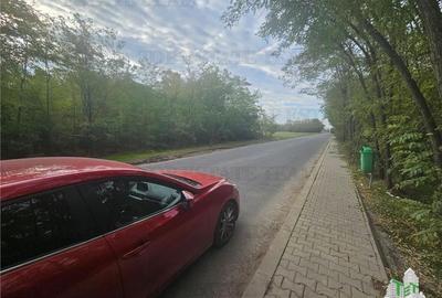 Teren 7500mp in liziera padurii in Dragomiresti-Deal - 1