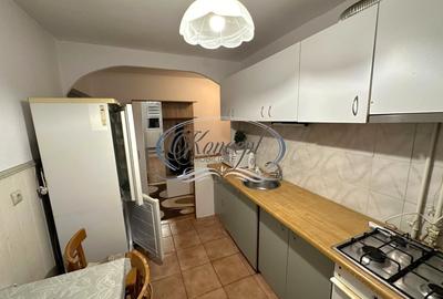 Apartament decomandat la etaj intermediar, zona Parcului Farmec - 9