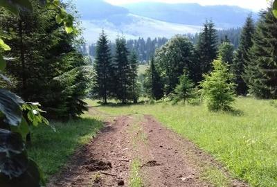 Spațiu comercial, în Dămuc - 8