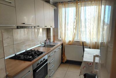 Apartament cu 2 camere semidecomandat în Săsar - 3