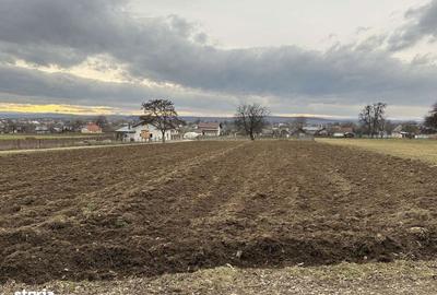 Spațiu comercial, în Mitocu Dragomirnei - 10
