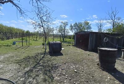 Spațiu comercial, în Crevedia Mare - 1