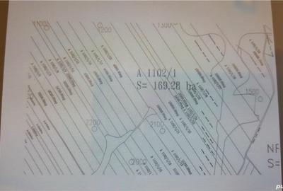 Teren de 95000 mp, în Orțișoara - 2