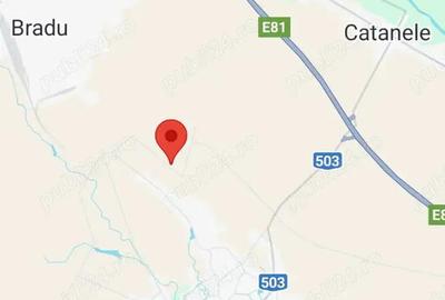 Vand teren agricol 10.000 m intrare Autostrada A1! Oarja - 1