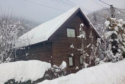 Casa de vacanta in Baiut - 11