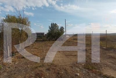 Investitie smart: casa + 1.000 mp, dublu acces . - 7