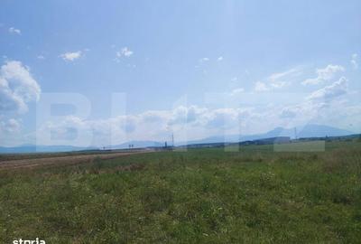 Spațiu comercial, în Prejmer - 3