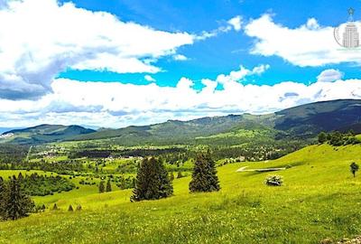 Teren intravilan 24000 mp potential imens - Izvoru Muresului, Harghita - 3