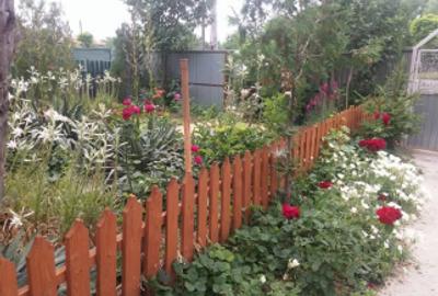 Casă individuală cu 5 camere cu Teren 1270 Mp în Hodivoaia - 6