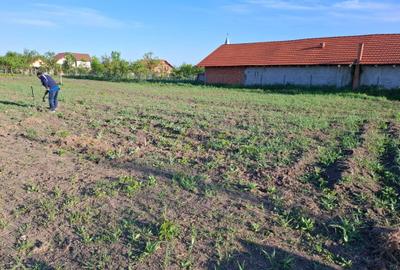 Teren de 934 mp, în Ianova