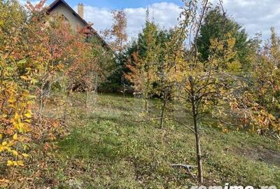 Casă cu 4 camere cu Teren 2200 Mp în Central - 4