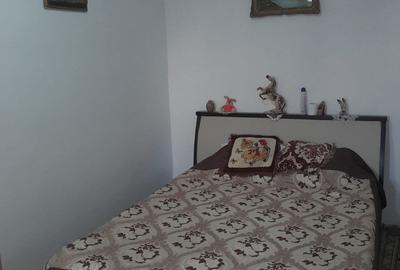 Apartament 2 camere, zona Malu Rosu - 4