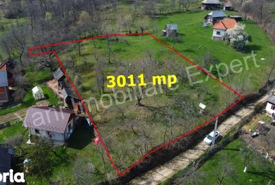 Teren de 3011 mp, în Bradu - 2