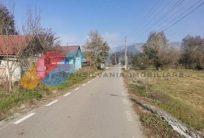 Casa individuala 100mp cu teren 8000mp - 9