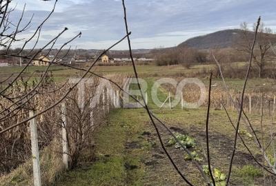 Casa de vanzare cu curte spatioasa loc relaxare si gradina Cornatel - 11