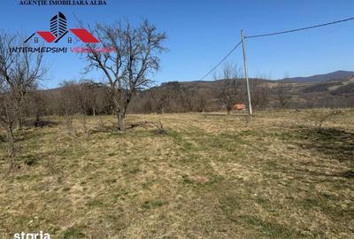 Casă cu 4 camere cu Teren 7701 Mp în Vințu de Jos - 12