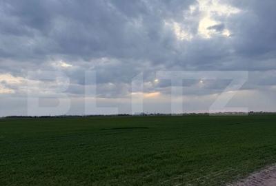 Teren de 500 mp, în Galicea Mare - 1