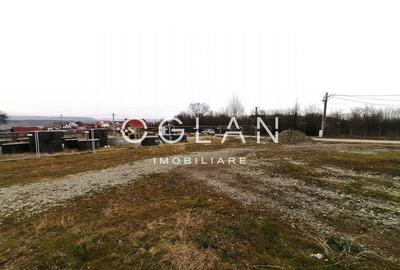Teren de vanzare 1571 mp Daia Noua, Sibiu 0% Comision - 4