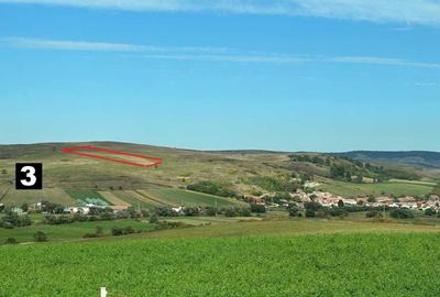 Teren de 11700 mp, în Lovnic - 1