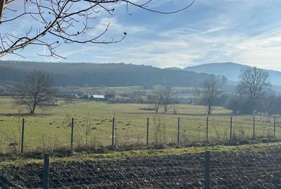 Teren Construcții intravilan de 1080 mp, în Rășinari - 1