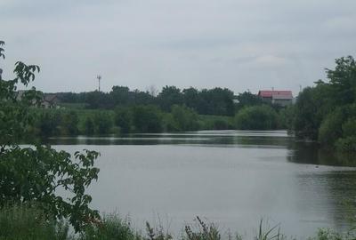 Proprietar - Teren Corbeanca - Suprafata 13.124 MP - Ideal Investitie - 3