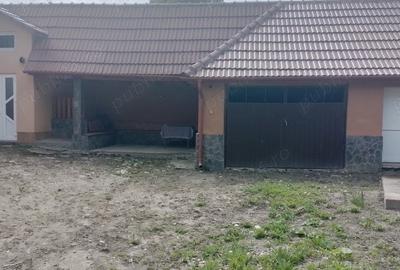 Casă cu 5 camere cu Teren 200000 Mp în Șerel - 12