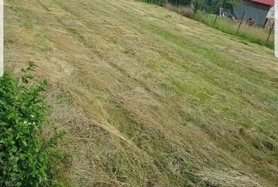 Teren de 900 mp, în Valea Sălciilor - 2