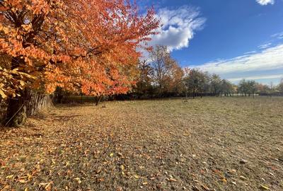 Teren Construcții intravilan de 1559 mp, în Brebu Mânăstirei - 5