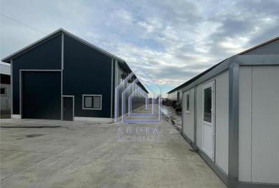 Suceava, Dumbraveni, depozit nou, pretabil orice activitate, - 9