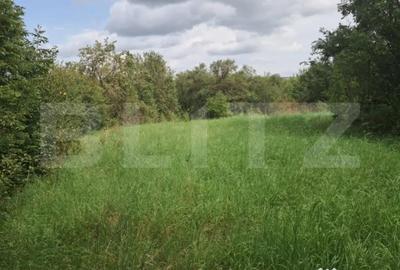 Teren de 2861 mp, în Tureni - 1