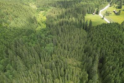 Teren extravilan 5000 MP Comandau - 9