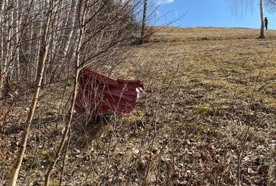 Vanzare Teren cu Punct de Belvedere in Moieciu zona Magura-Pestera - 21
