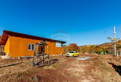 Oportunitate de investitie - Teren de vanzare I 4 ha I certificat ECO - 7