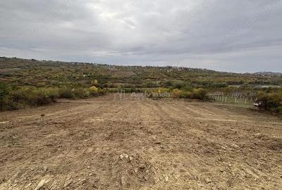 Terenuri de vanzare Saldabagiu de Munte - zona lac 625-1057 mp - front stradal 26 metri - 2